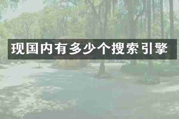 现国内有多少个搜索引擎