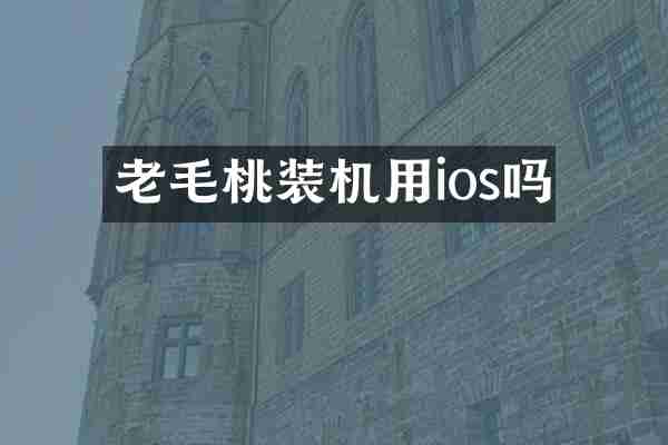 老毛桃装机用ios吗