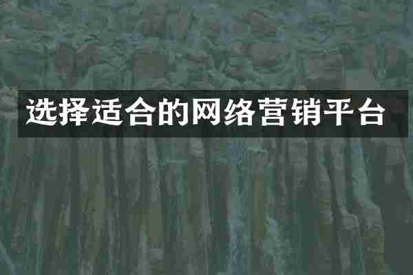 选择适合的网络营销平台