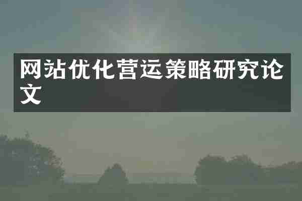 网站优化营运策略研究论文