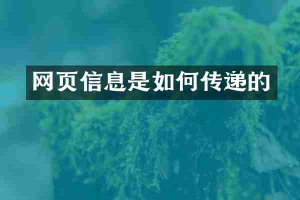 网页信息是如何传递的
