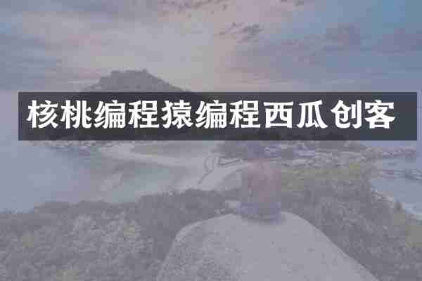 核桃编程猿编程西瓜创客
