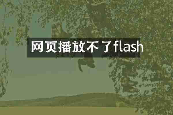 网页播放不了flash