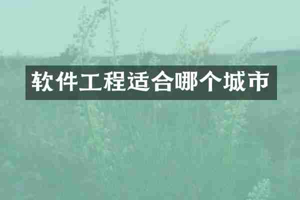 软件工程适合哪个城市