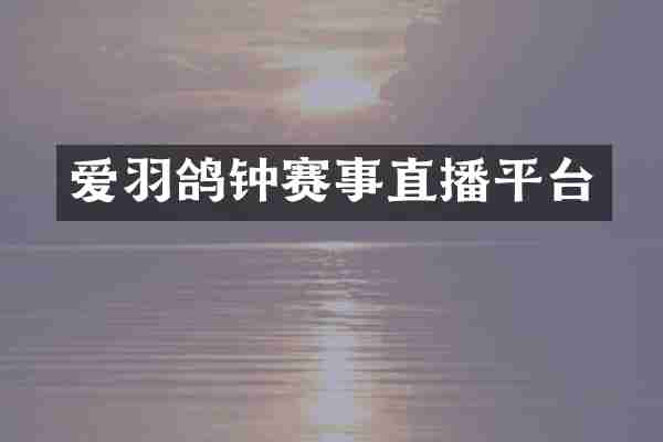 爱羽鸽钟赛事直播平台