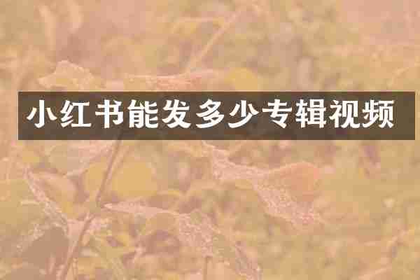 小红书能发多少专辑视频