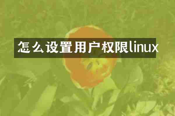 怎么设置用户权限linux