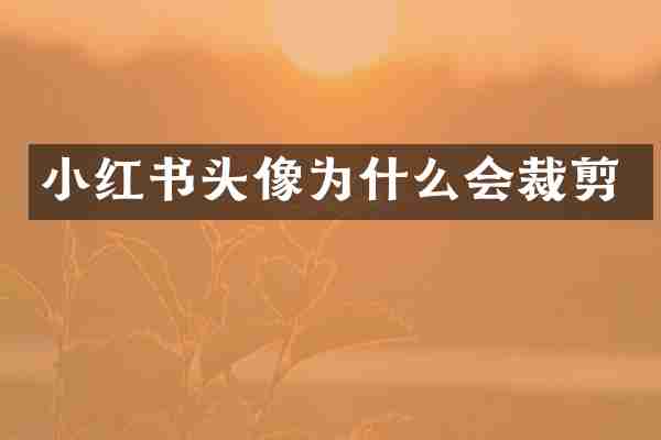 小红书头像为什么会裁剪