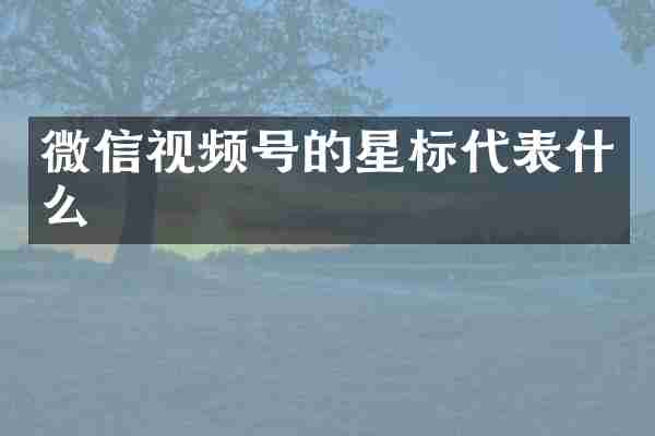 微信视频号的星标代表什么
