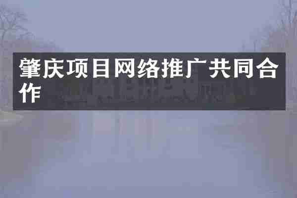 肇庆项目网络推广共同合作