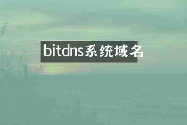 bitdns系统域名