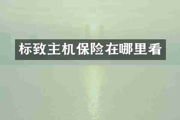 标致主机保险在哪里看