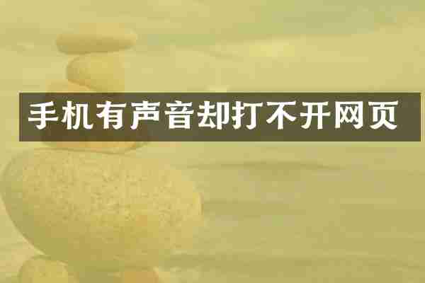 手机有声音却打不开网页