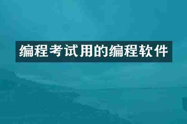 编程考试用的编程软件