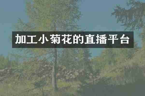 加工小菊花的直播平台
