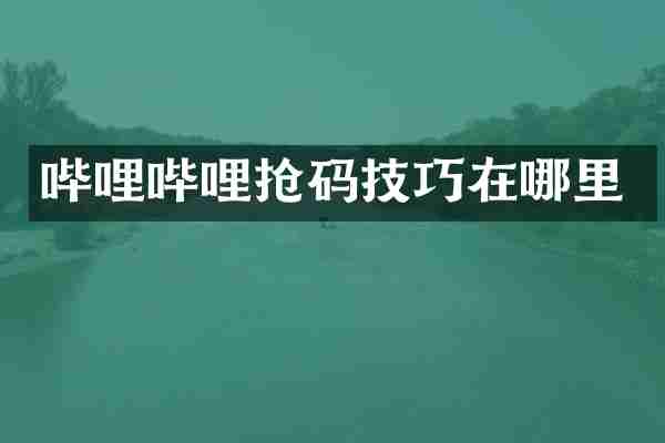哔哩哔哩抢码技巧在哪里