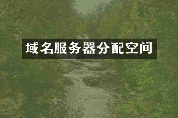 域名服务器分配空间