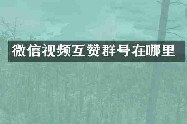 微信视频互赞群号在哪里