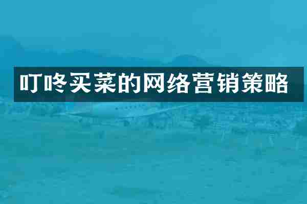 叮咚买菜的网络营销策略