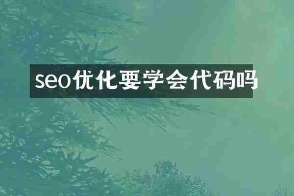 seo优化要学会代码吗