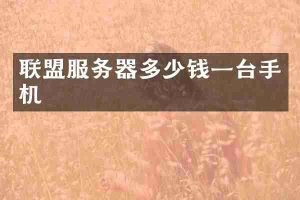 联盟服务器多少钱一台手机