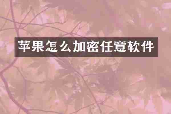 苹果怎么加密任意软件