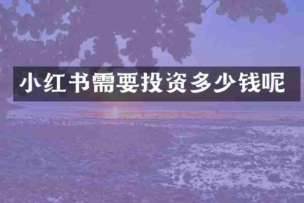 小红书需要投资多少钱呢