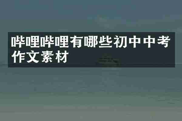 哔哩哔哩有哪些初中中考作文素材