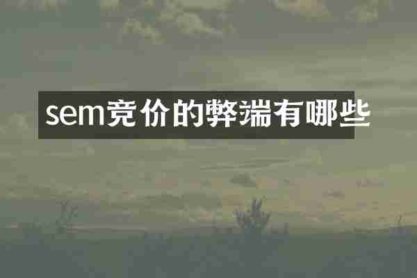 sem竞价的弊端有哪些