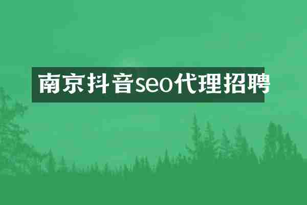 南京抖音seo代理招聘