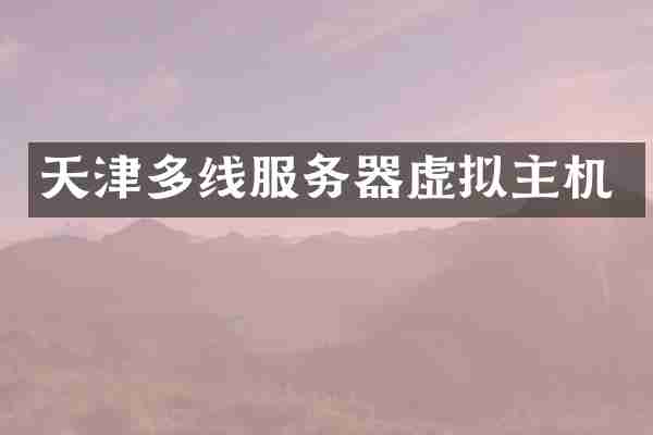 天津多线服务器虚拟主机