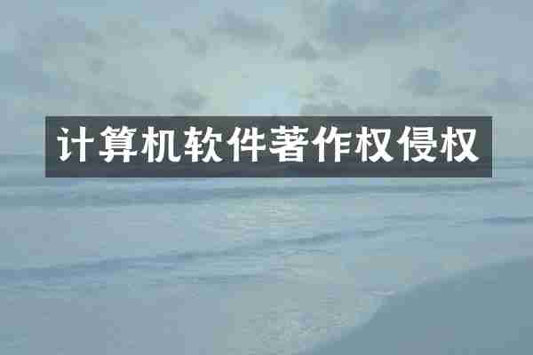 计算机软件著作权侵权