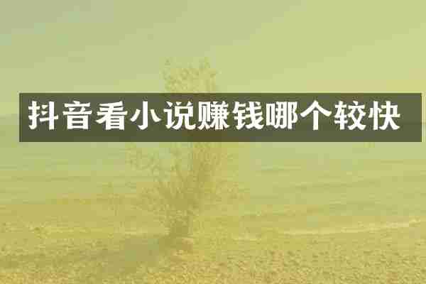 抖音看小说赚钱哪个较快