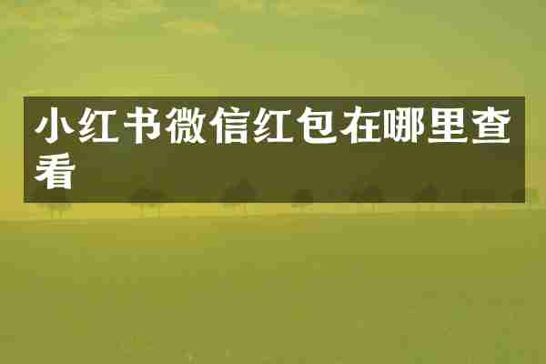 小红书微信红包在哪里查看