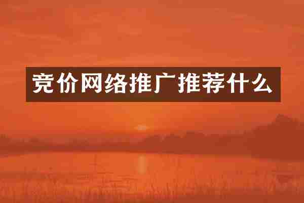 竞价网络推广推荐什么