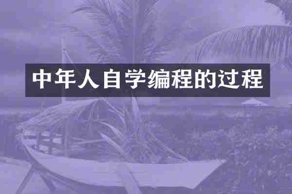 中年人自学编程的过程