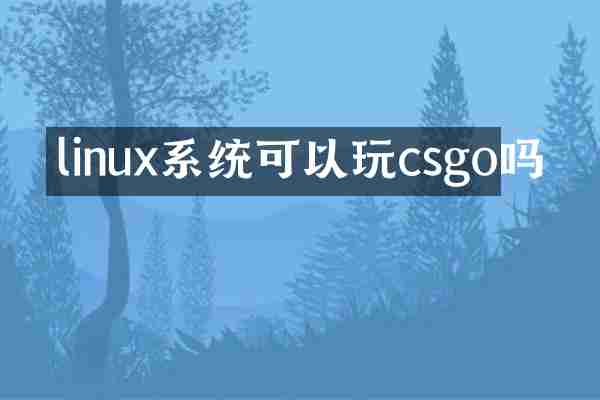 linux系统可以玩csgo吗