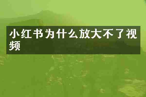 小红书为什么放大不了视频