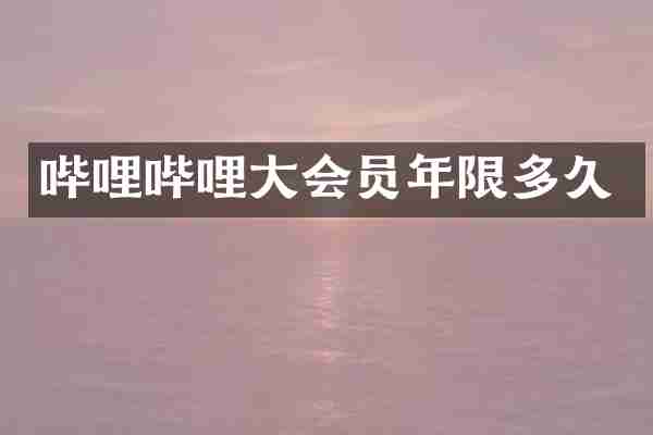 哔哩哔哩大会员年限多久