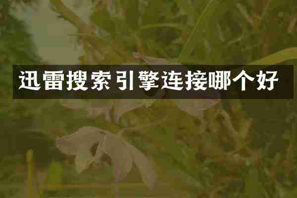 迅雷搜索引擎连接哪个好