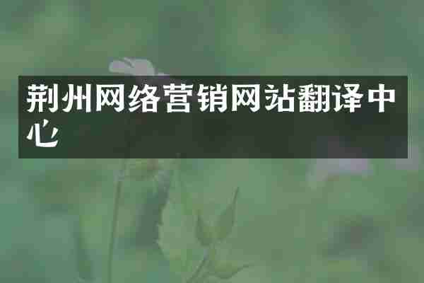 荆州网络营销网站翻译中心