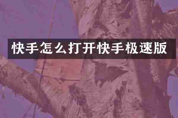 快手怎么打开快手极速版
