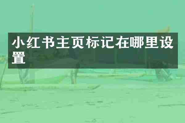 小红书主页标记在哪里设置