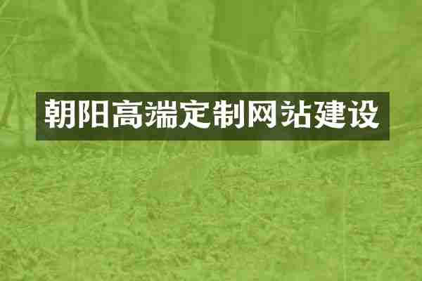 朝阳高端定制网站建设