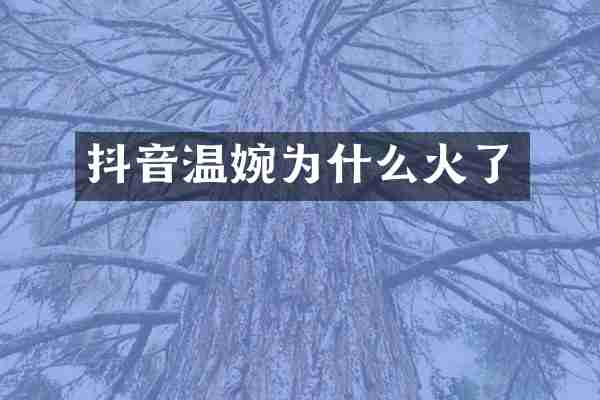 抖音温婉为什么火了