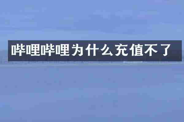 哔哩哔哩为什么充值不了