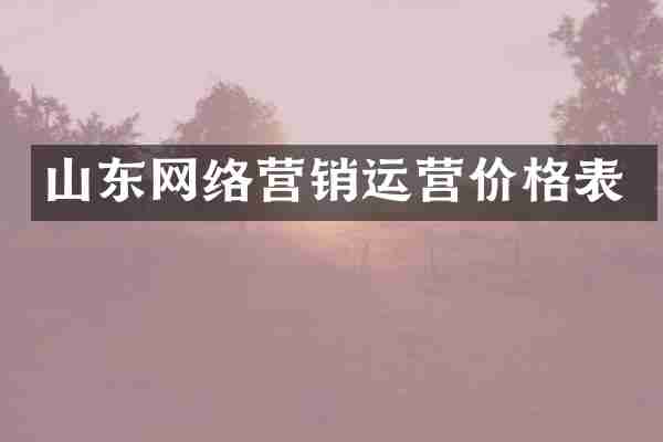 山东网络营销运营价格表