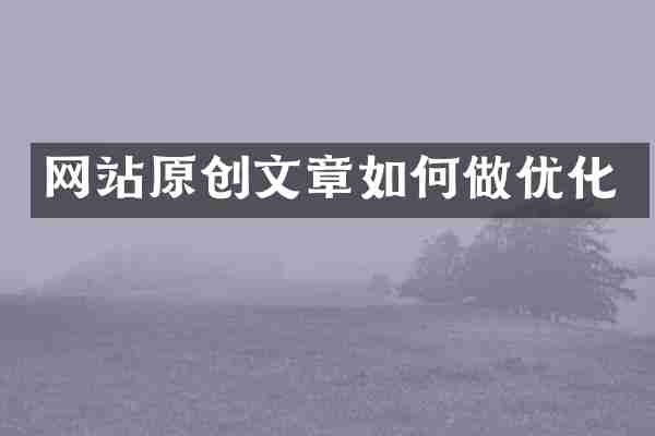 网站原创文章如何做优化