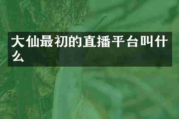 大仙最初的直播平台叫什么