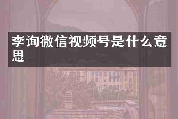 李询微信视频号是什么意思